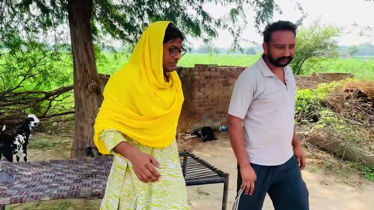 ਮੈਨੂੰ ਪੋਤਾ ਹੀ ਚਾਹੀਦਾ ਭਾਗ -4 #funny #comedy #punjabidrama 