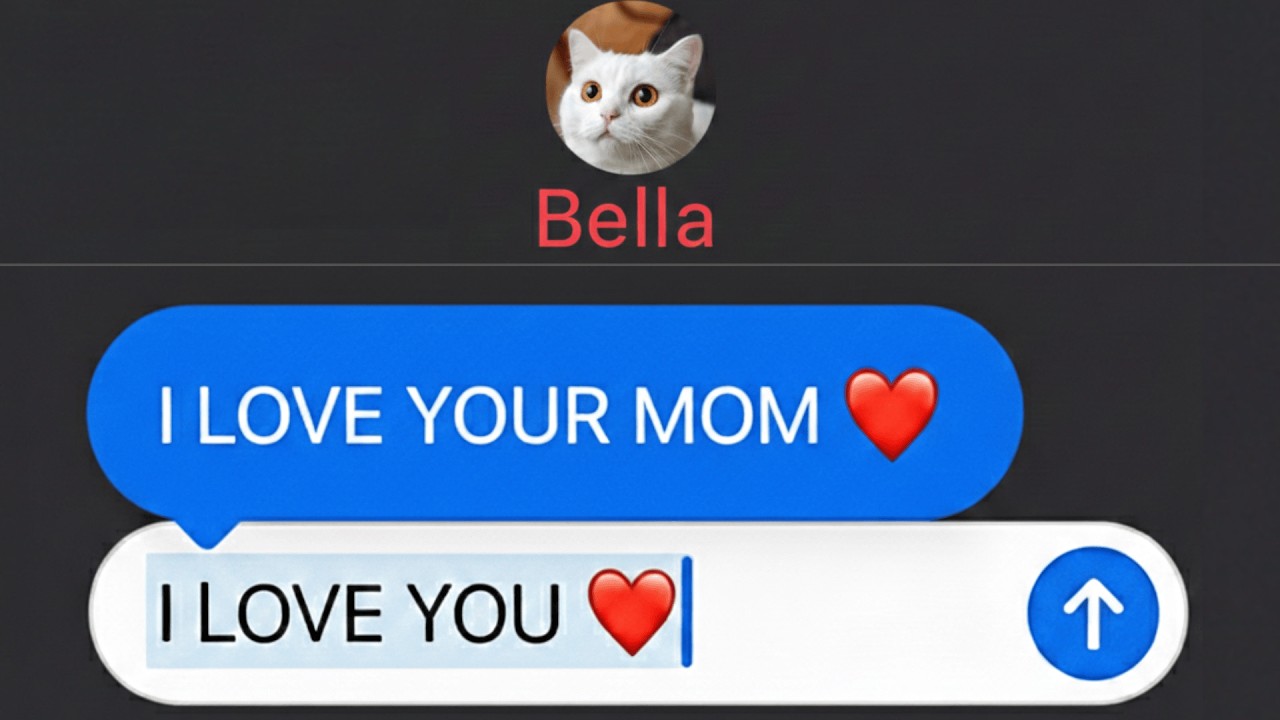 Autocorrect 