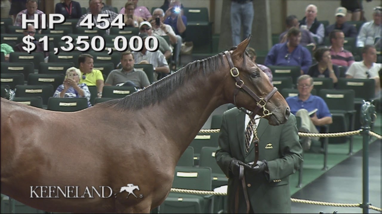 Mendelssohn as a Keeneland September Yearling