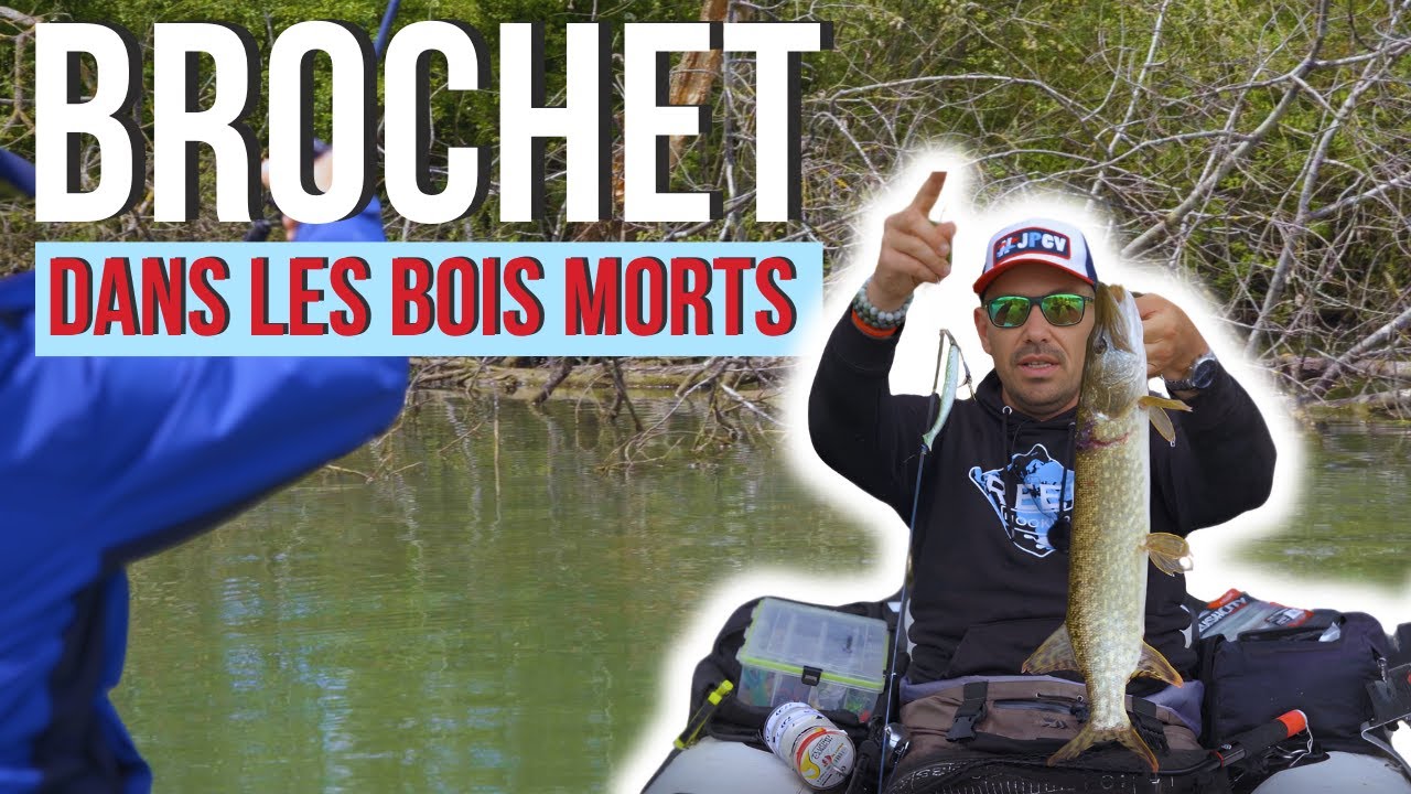 Tuto Pêche du BROCHET dans les bois morts (texan et rubber jig) - La Minute Carna