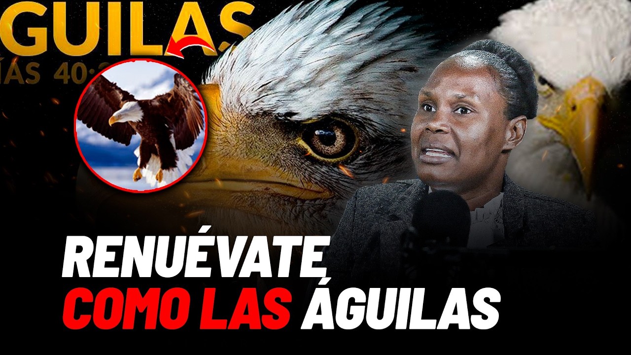 DIOS TE RENUEVA HOY