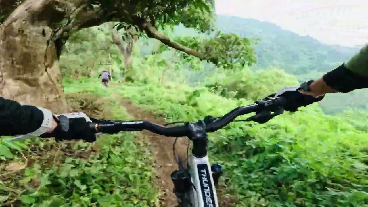 6 Towers (Feb 8, 2026)