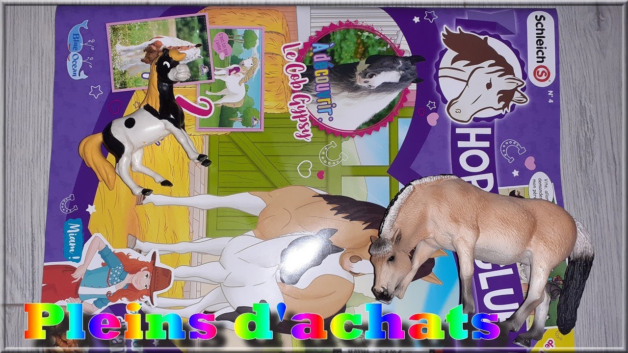 Encore des achats Schleich et autres (brocantes, Vinted, ...)