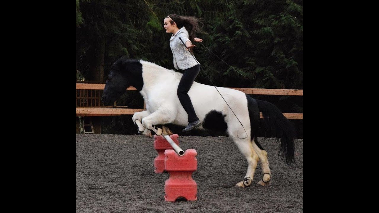 ~LIBERTY and 100% TACKLESS Riding~