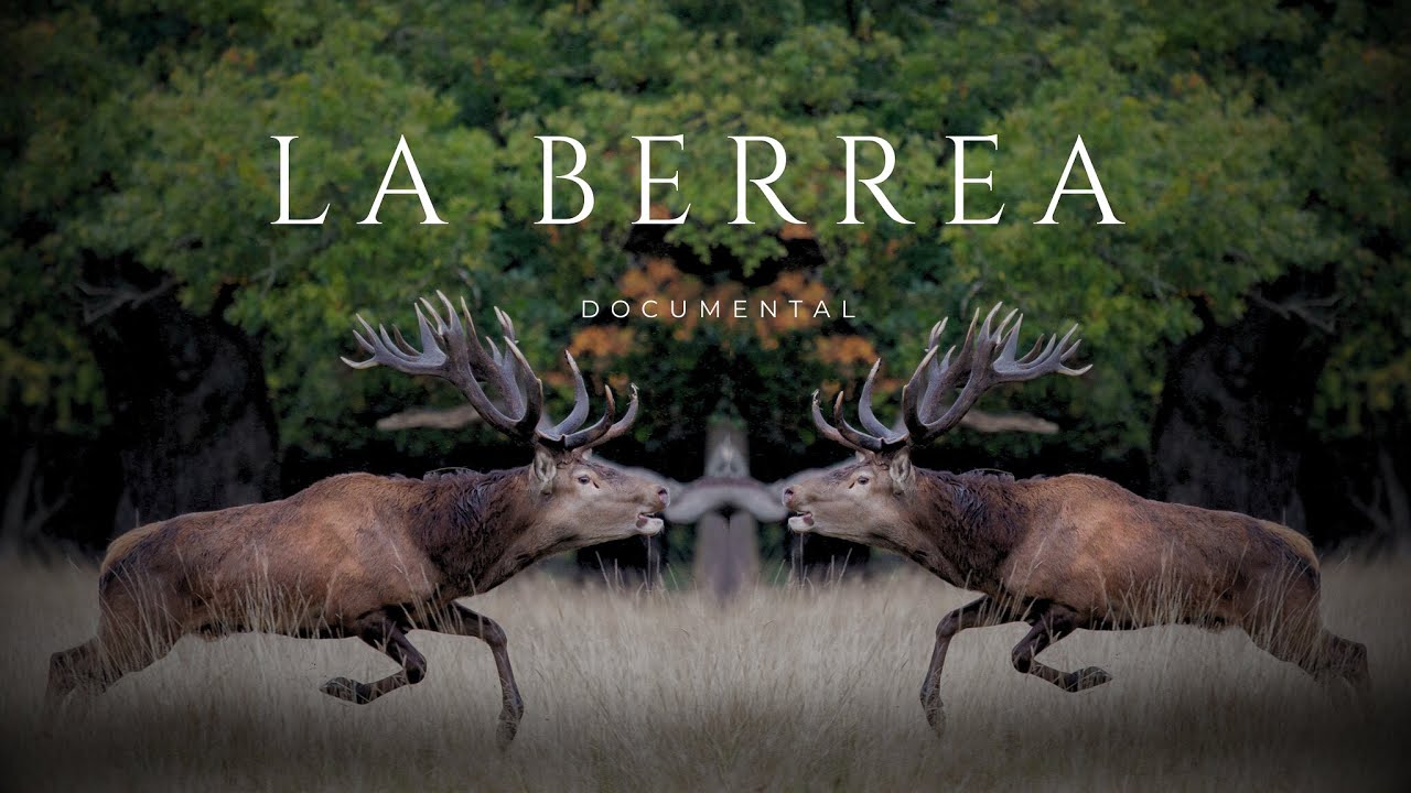LA BERREA. UN RITUAL ANCESTRAL