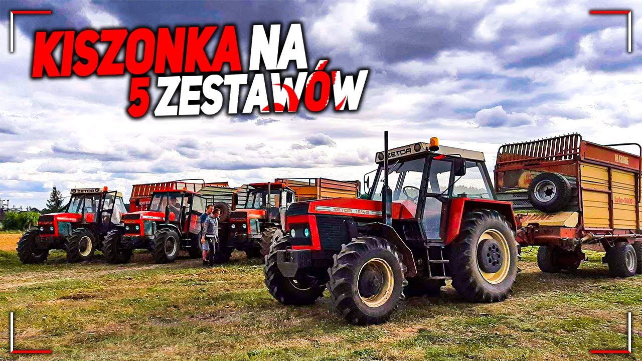 ✔ Koszenie kukurydzy na kiszonkę 2020 ✔ Na 5 zestawów ✔ Adamix Agro ✔