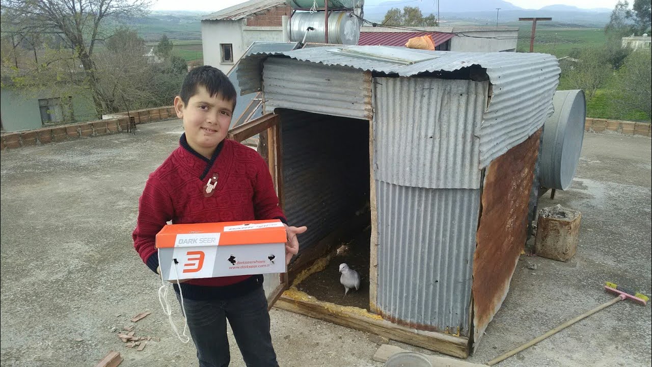 10 Yaşındaki Minik Kuşcu İboya Yeni Güvercinler Hediye Ettim