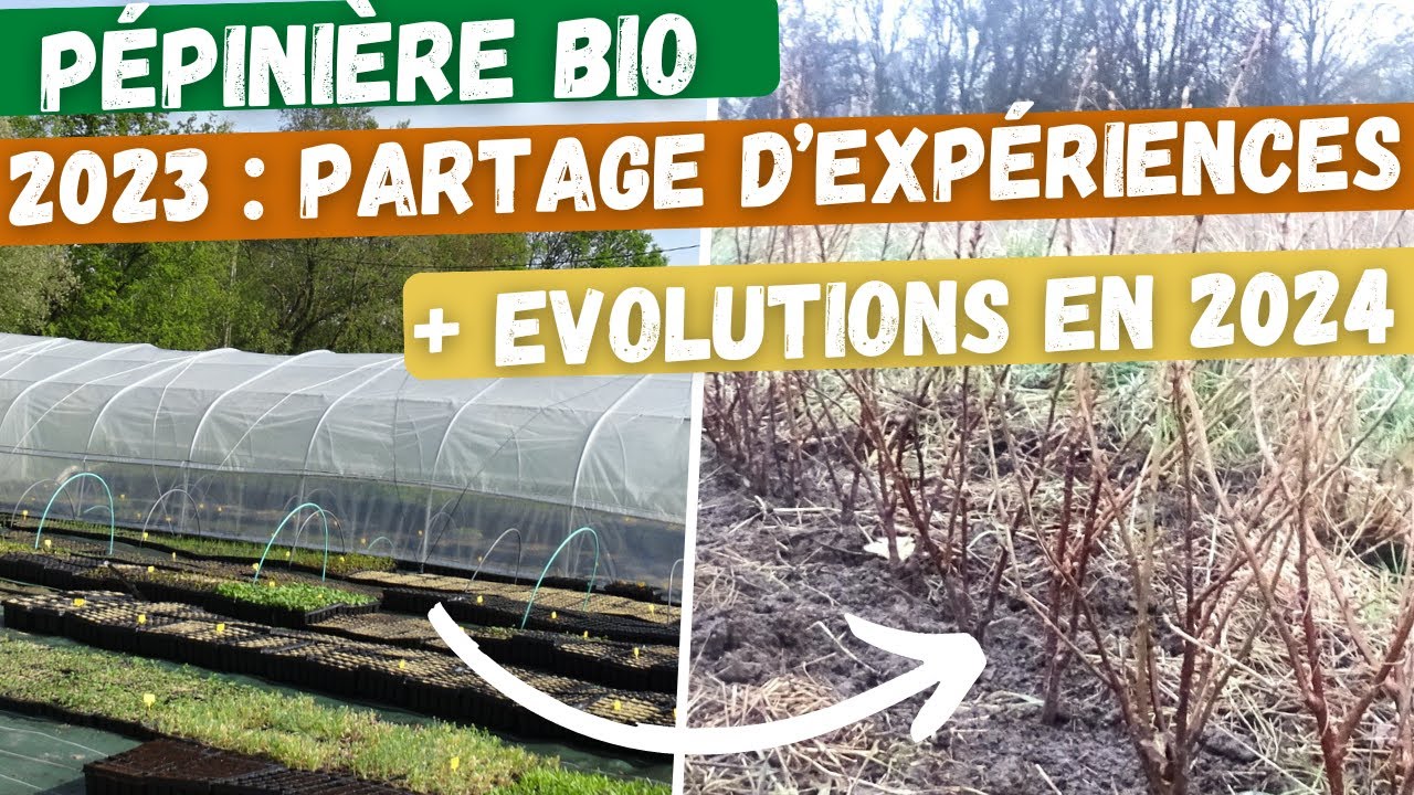 🧑‍🌾Ma pépinière : retours d'expériences sur 2023 et évolutions à venir en 2024