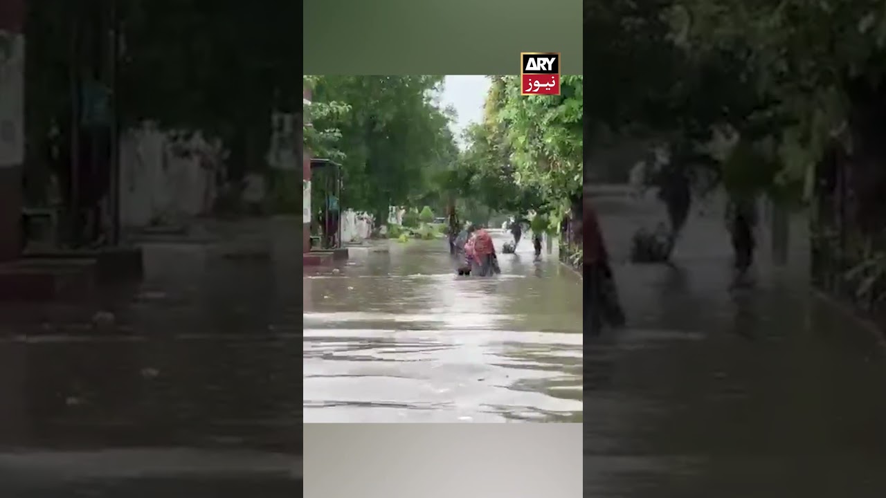 Gujarat Flood Disaster ⚠️ #flood #gujarat #shorts