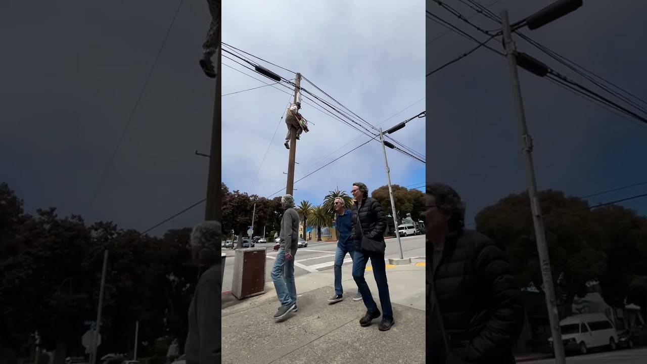 cops called on pole jester