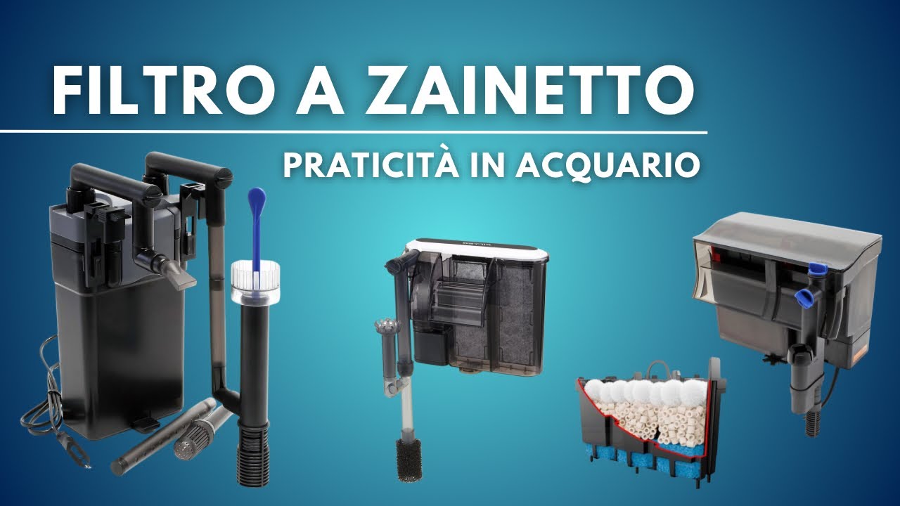 FILTRO A ZAINETTO in Acquario: Come Funziona e Come Sceglierlo
