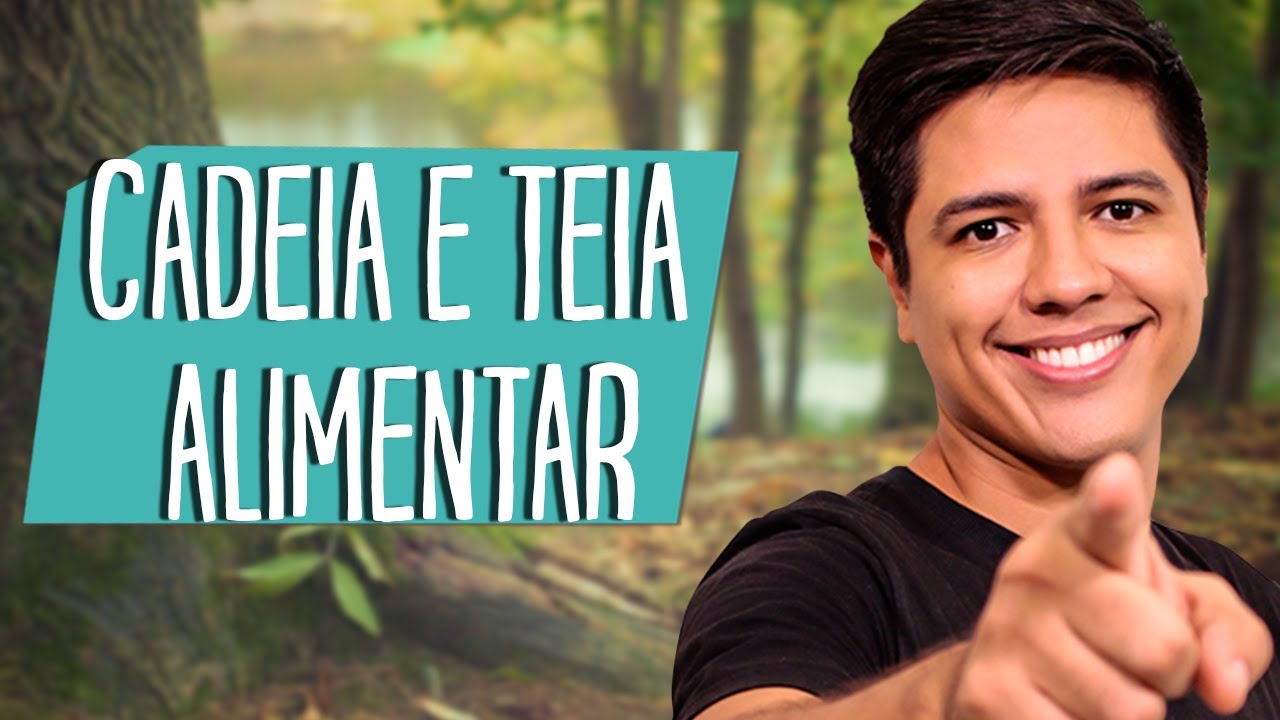 CADEIA E TEIA ALIMENTAR - Ecologia - Prof. Kennedy Ramos