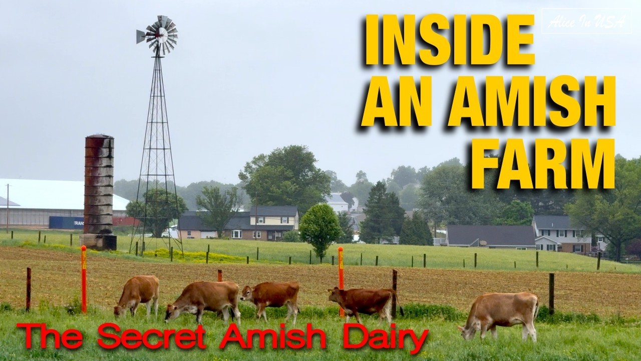 🇺🇸 Inside Secret World of an Old Order Amish Farm | Amish Farmers&rsquo; Market | Lancaster, Pennsylvania