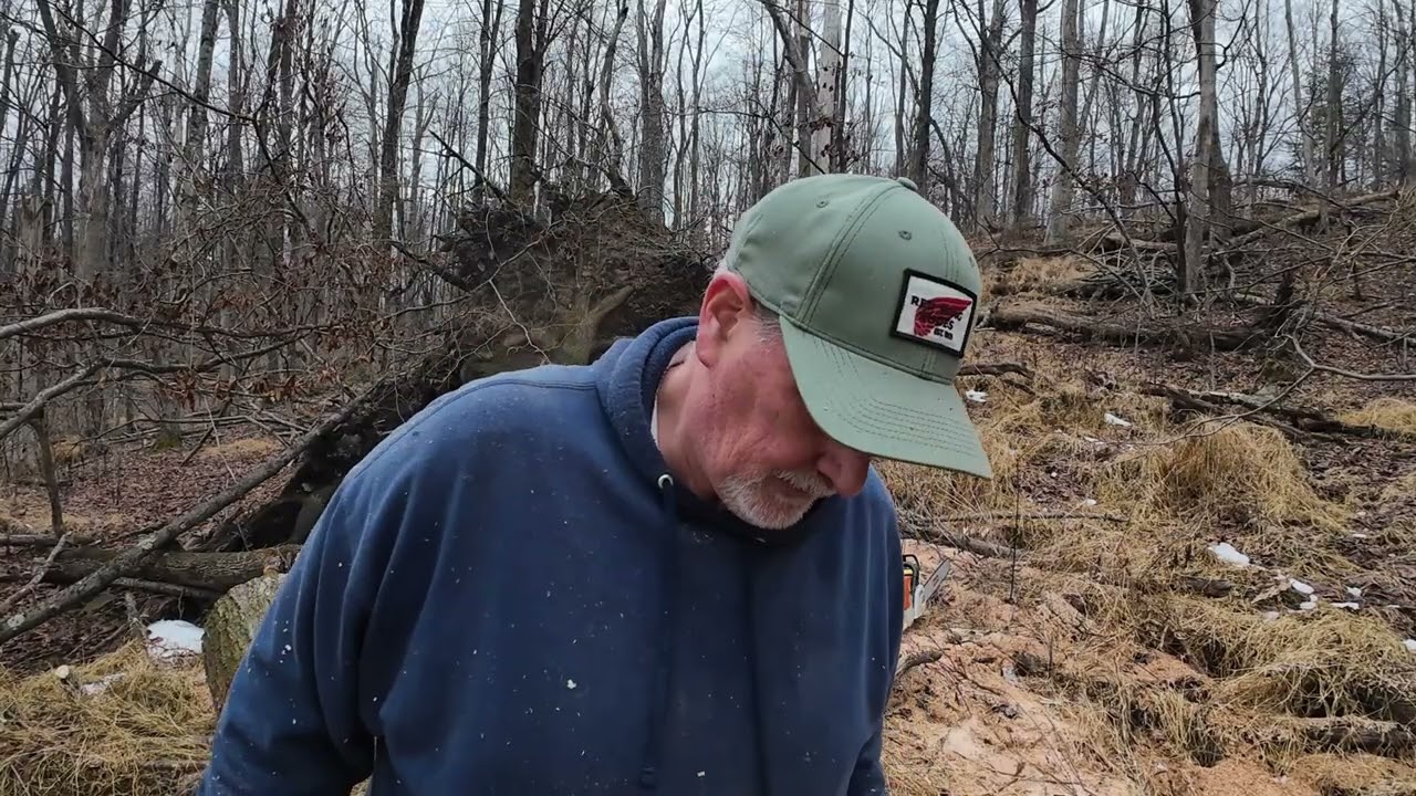 GET THE WOOD WHILE YOU CAN