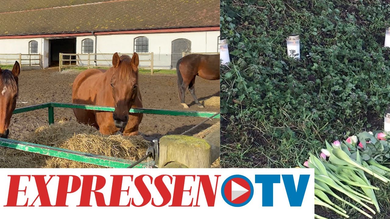 17-&aring;rig flicka d&ouml;d efter h&auml;stolycka