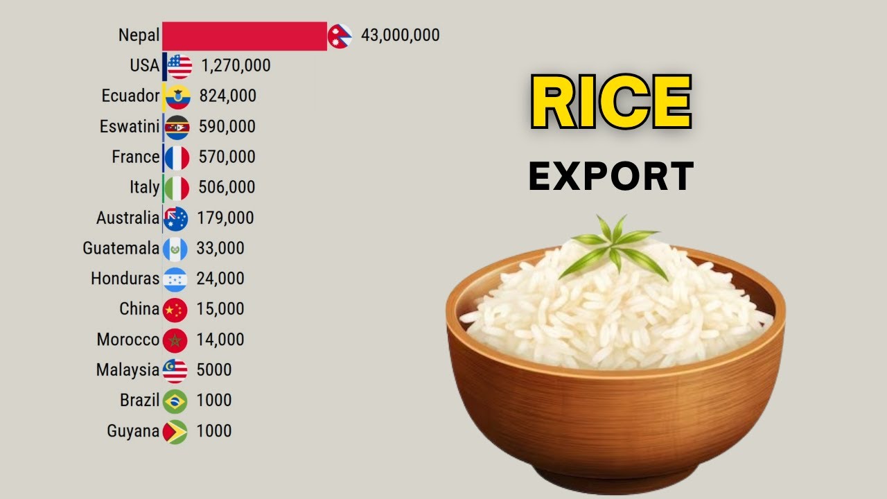 Which Country Export The Most Rice