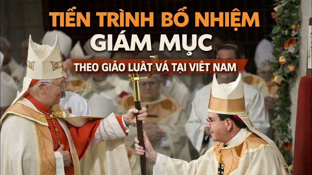 Tiến Tr&igrave;nh Bổ Nhiệm Gi&aacute;m Mục Theo Gi&aacute;o Luật v&agrave; Tại Việt Nam