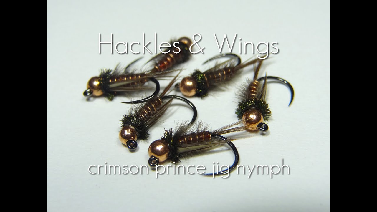 Fly Tying Crimson Prince Jig Nymph | Hackles & Wings