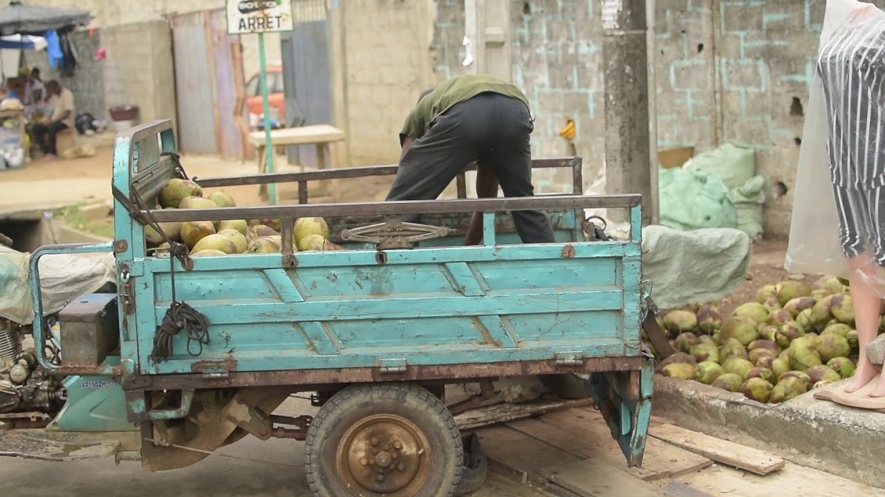 Le commerce des noix de coco, un business en plein essor.