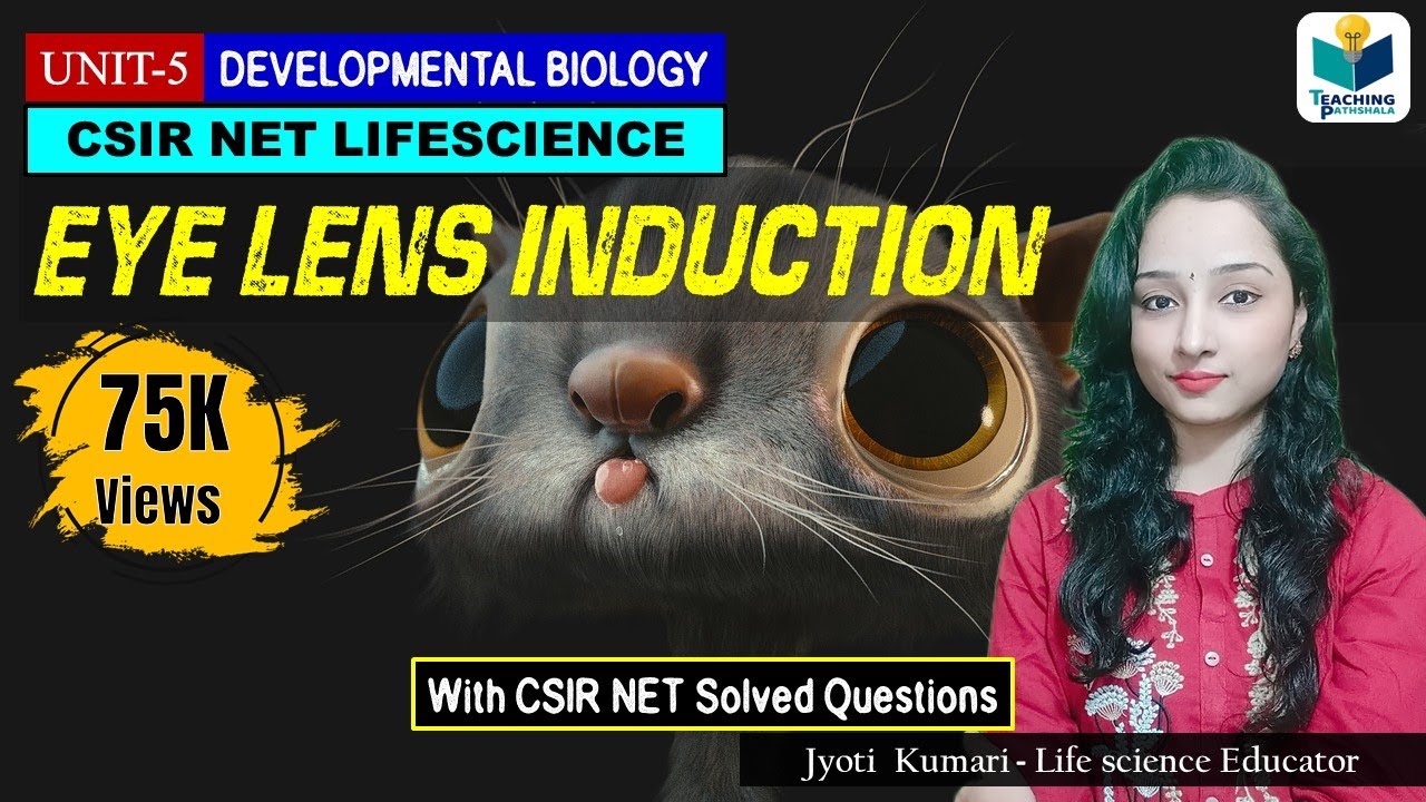 EYE LENS FORMATION || EYE LENS INDUCTION | CSIR NET| DEVELOPMENTAL BIOLOGY