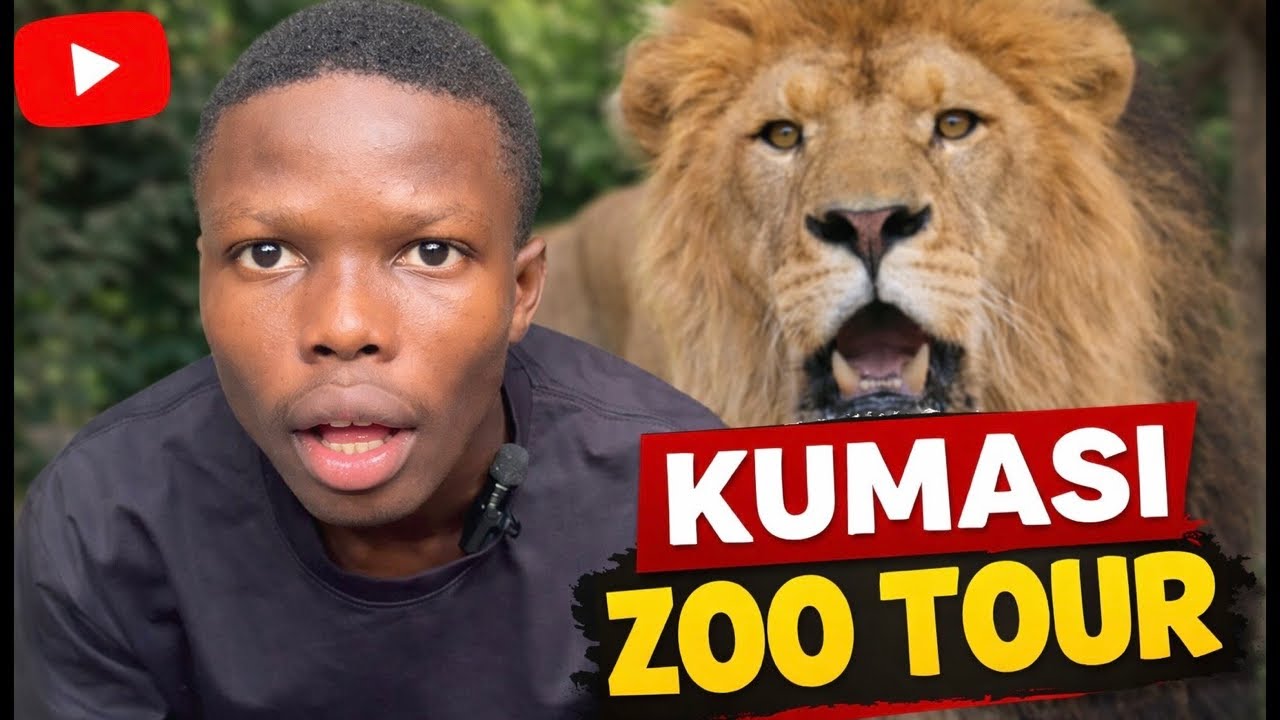 IRL stream in Kumasi zoo