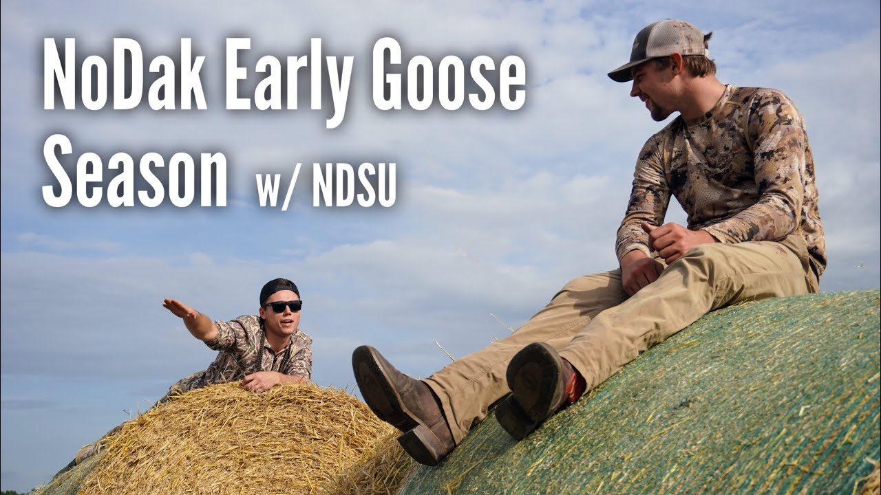 EARLY GOOSE HUNTING SEASON IS TOUGH in NORTH DAKOTA