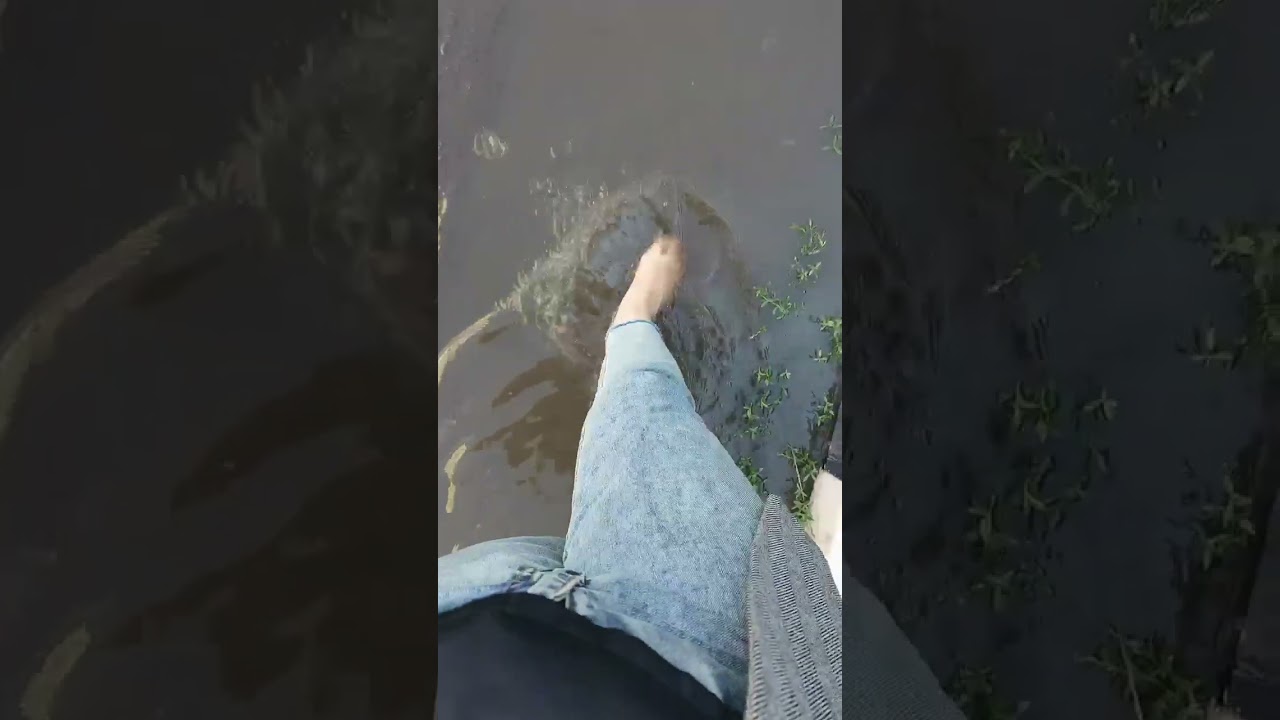 Women's barefoot walk in puddle