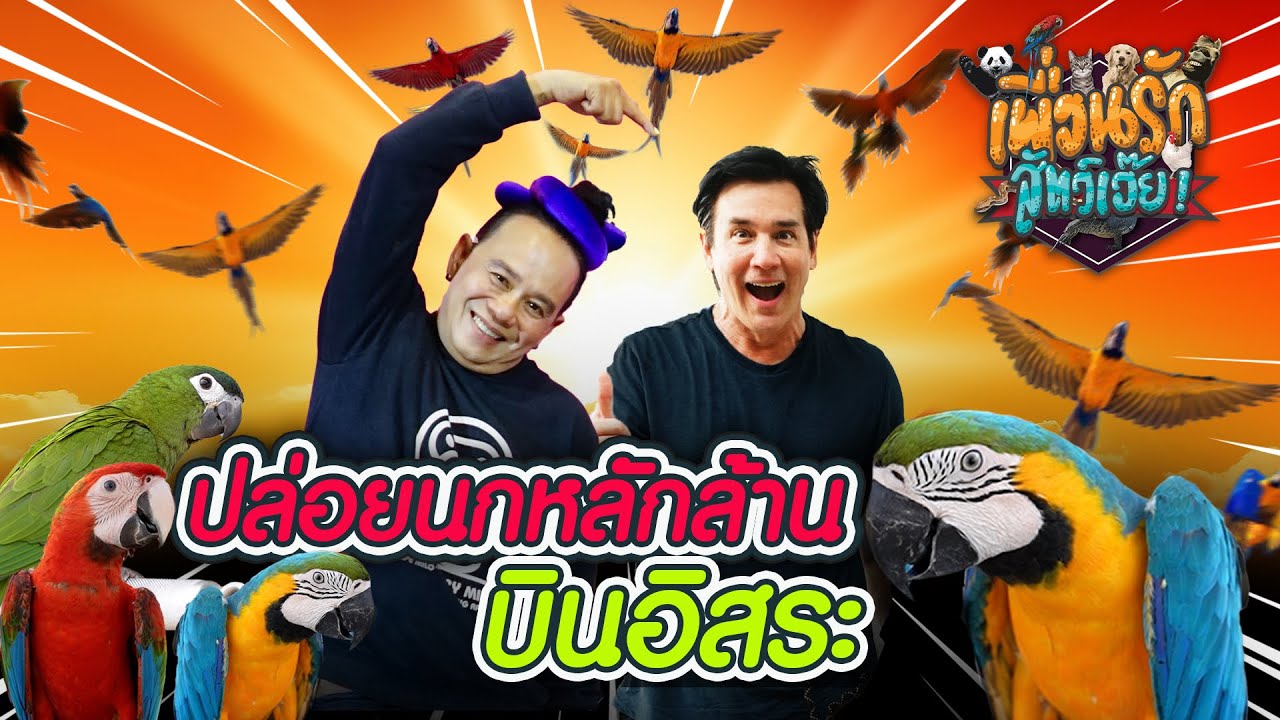 ปล่อยนกหลักล้าน บินอิสระ Release a bird worth millions of baht to fly freely (Rerun)