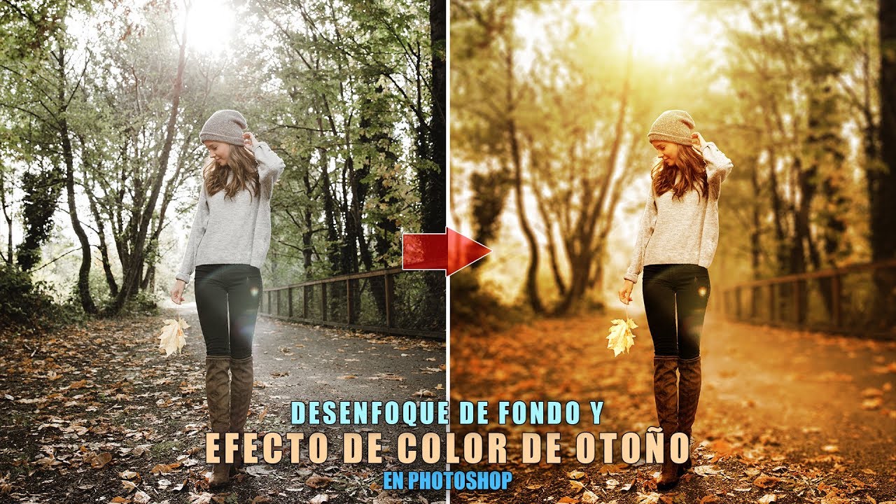 Desenfoque de fondo y efecto de color otoño en Photoshop