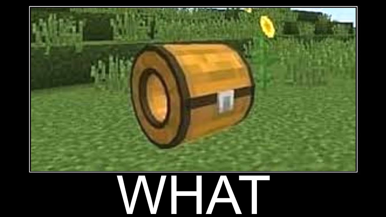 Wait What Minecraft Meme - part 181