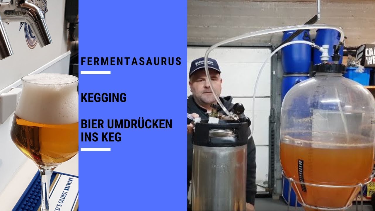 Fermentasaurus Kegging // Bier umdr&uuml;cken ins Keg //