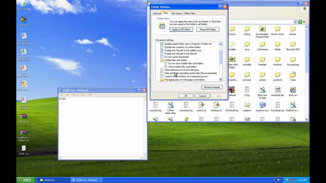 Email-Worm.Win32.Nyxem.E