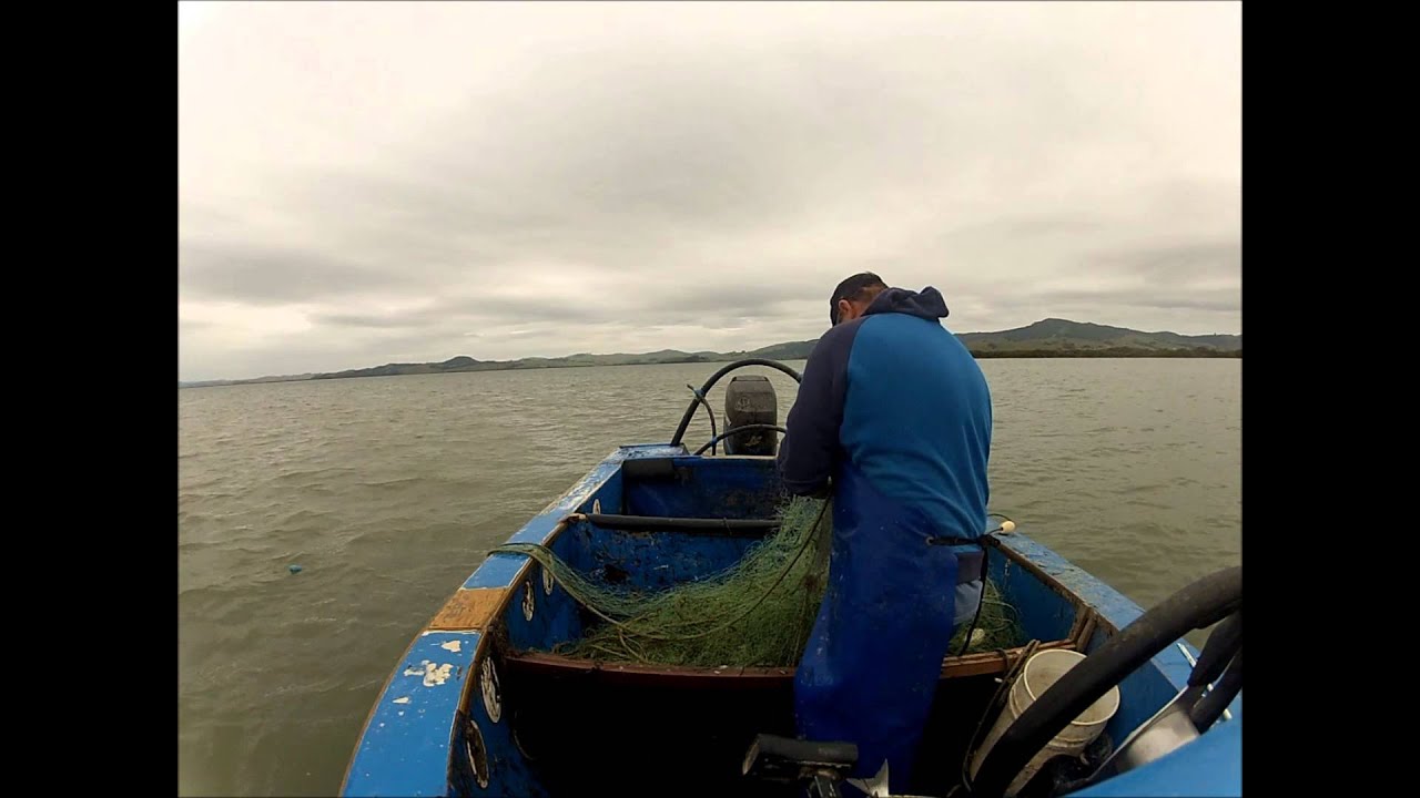 Mullet Fishing