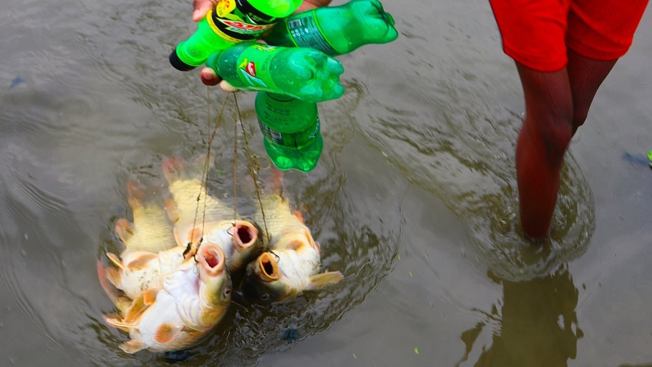 Unique Fish Trapping System With Plastic Battle And Hook.