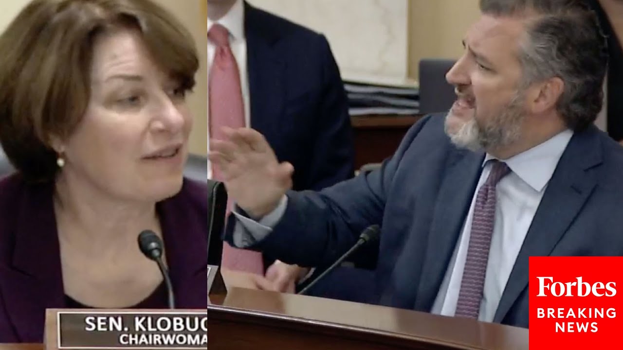 'It Was Blatantly Unconstitutional -- And Every Single Democrat Voted For It': Ted Cruz Torches Dems