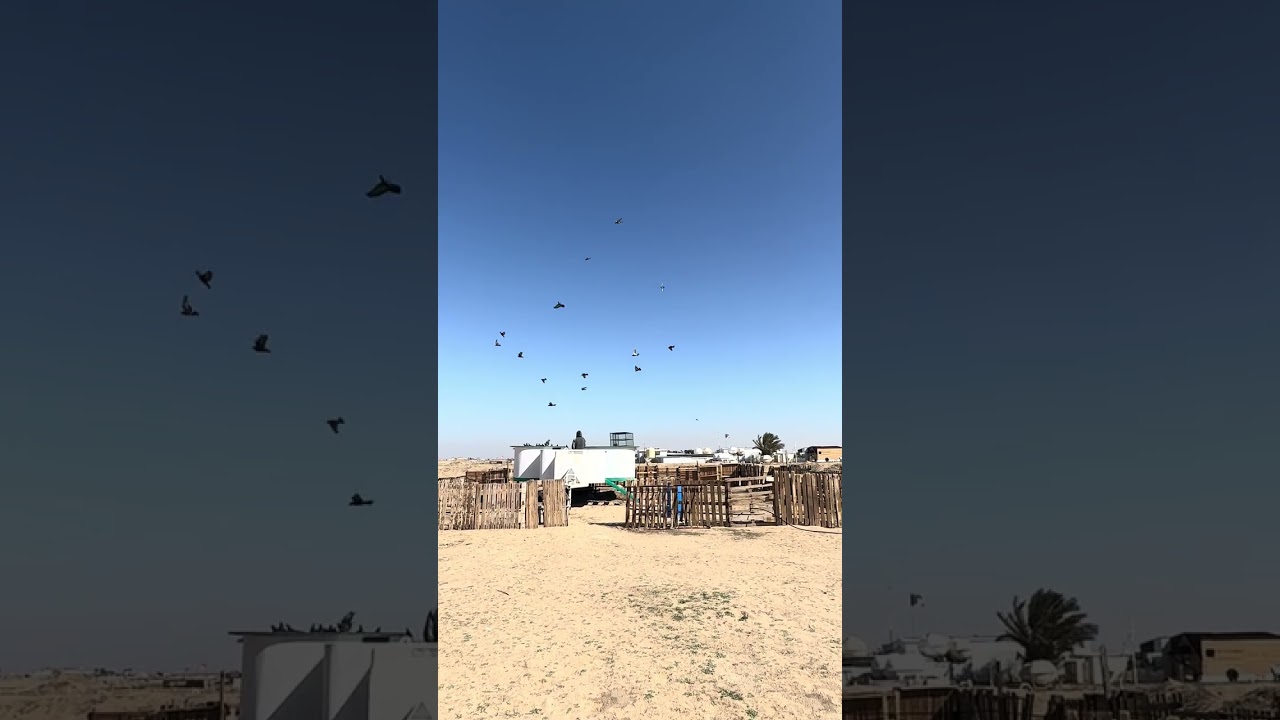 ٢٧ يناير، ٢٠٢٦