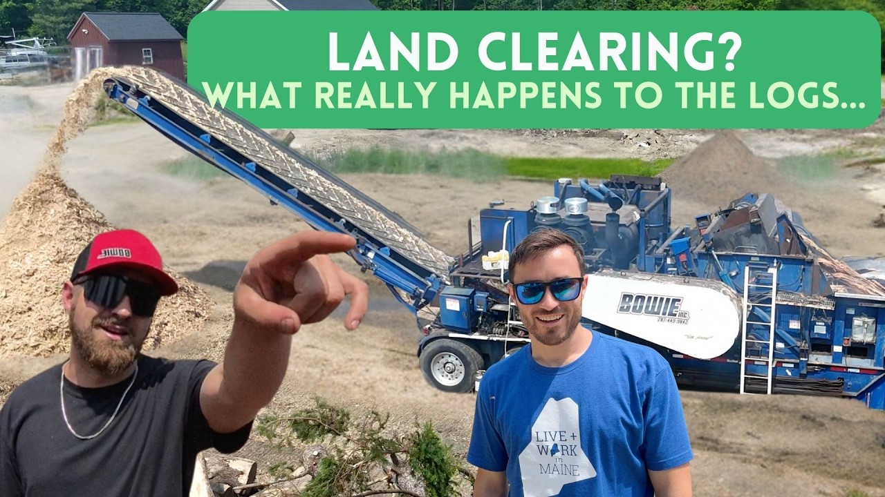 What REALLY Happens to the Wood After Land Clearing?
