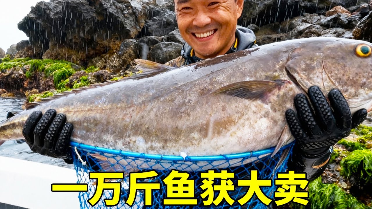 阿锋远赴深海，鱼获创新高，一万斤鱼获大卖【探海漁人】