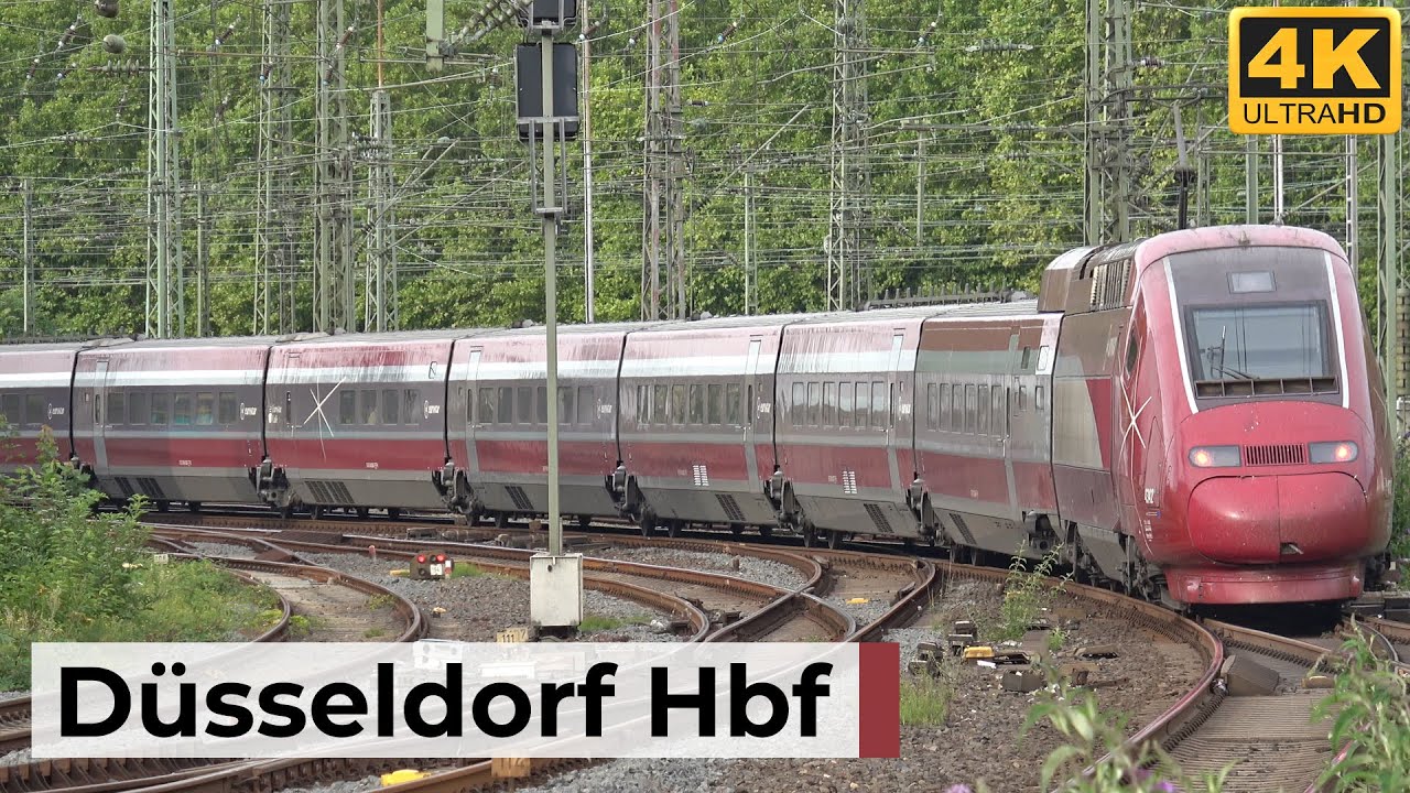Düsseldorf Hbf 05.07.2025 - Fernverkehr, dichter Regionaltakt & S-Bahn - Action am Rhein