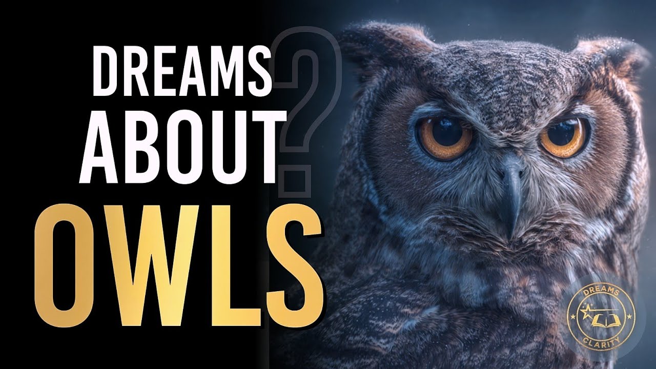 Owls Dream Meaning - Biblical Meaning of Owls In Dreams