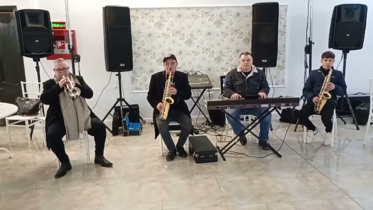 Formația Negreanu -Band 