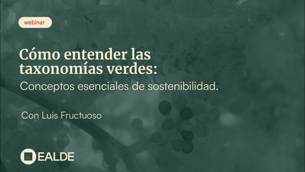 Cómo entender las taxonomías verdes: conceptos esenciales de sostenibilidad