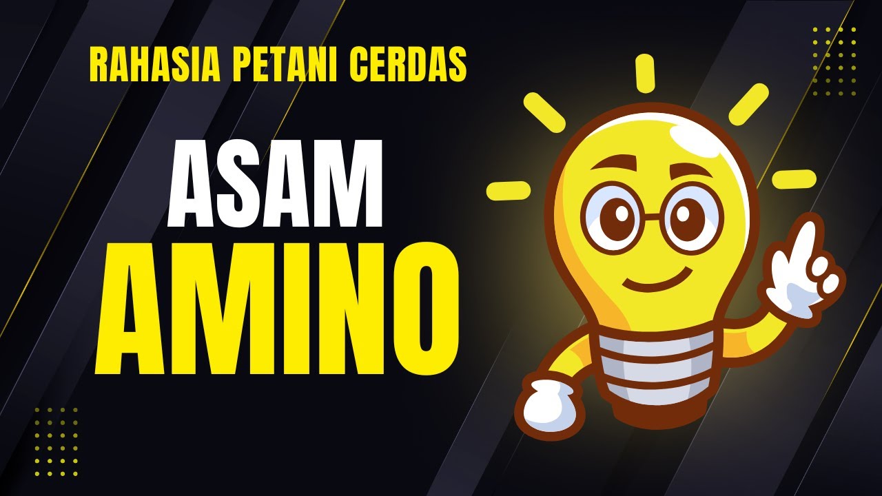 🔥 ASAM AMINO RAHASIA PETANI! Cara Mudah Buat Pupuk Organik Cair dari Bahan Sederhana 🚀