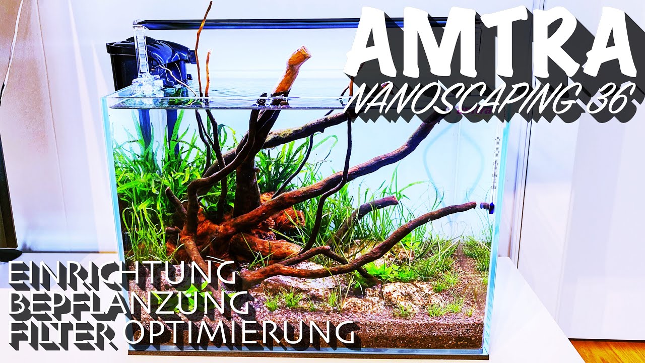 Amtra Nanoscaping 36 - Einrichtung, Bepflanzung & Filteroptimierung