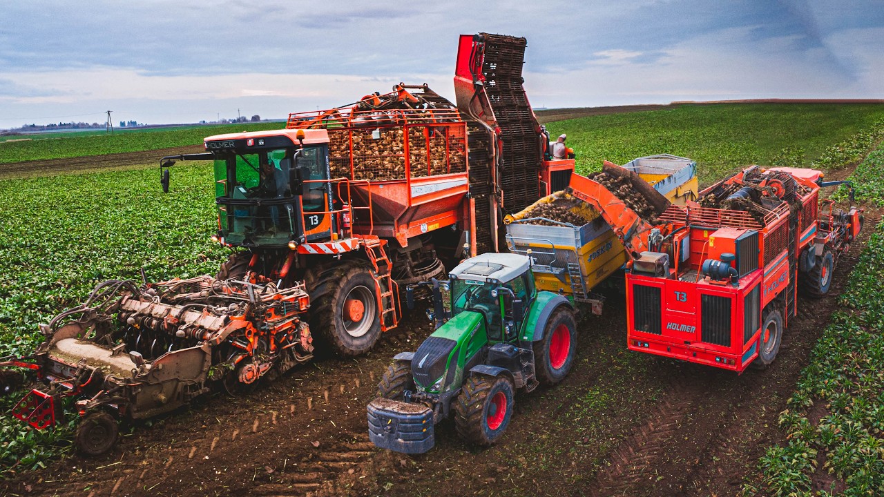 KOPANIE BURAKÓW NA 2 KOMBAJNY |   HOLMER TERRA 3 | GIERADA AGRO | 