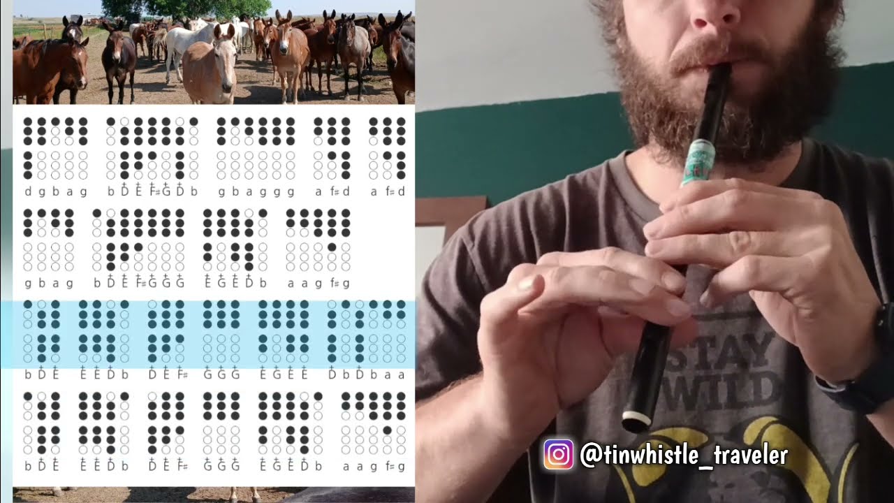 Saddle the Pony - Tin Whistle Cover with Tabs Tutorial