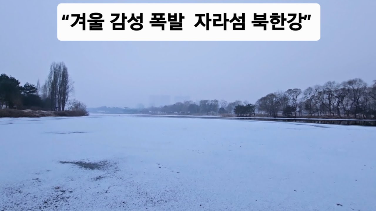 숨 멎는 겨울 풍경 자라섬 #설경 #겨울풍경 #얼음풍경 #자라섬 #박서진