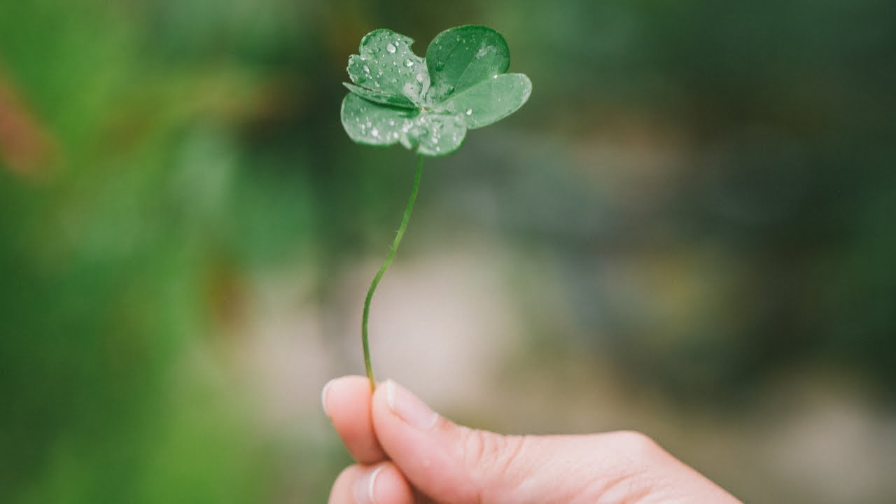 🍀”IRISH YOU WERE HERE” SOULMATE TWINFLAME LOVE READING