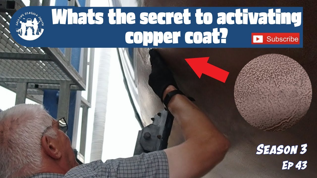 3 Months of Work Pays Off | Copper Coat Complete