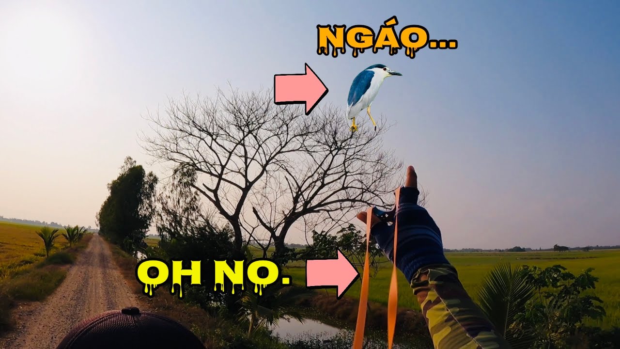 Slingshot M72 - Đốt Lửa Trại Sinh Tồn Họp Mặt Team Đầu Năm || Ban camp and survive with slingshots